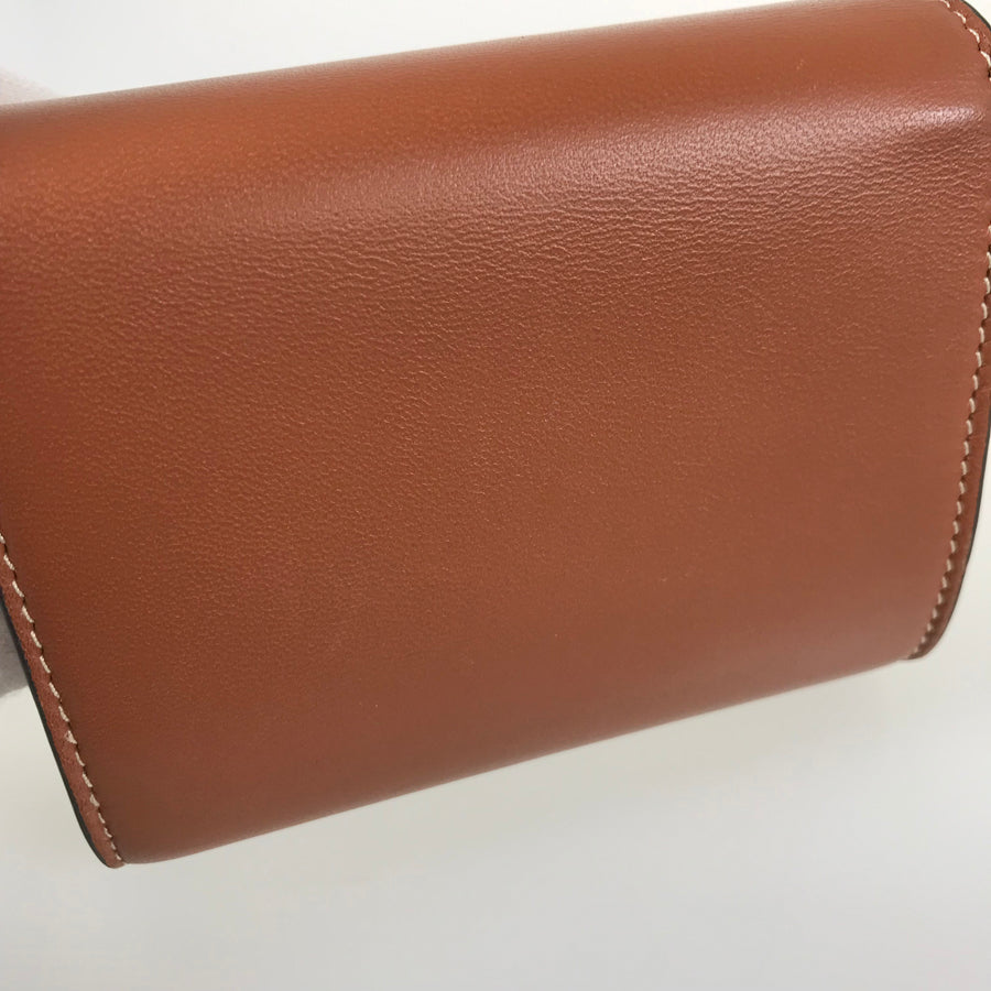 CELINE Triomphe Small wallet 10D783BZG.04LU Trifold wallet