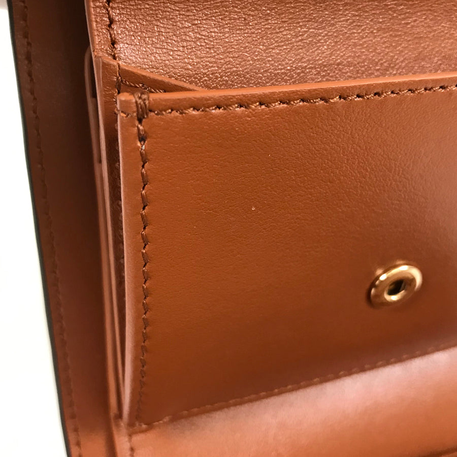 CELINE Triomphe Small wallet 10D783BZG.04LU Trifold wallet