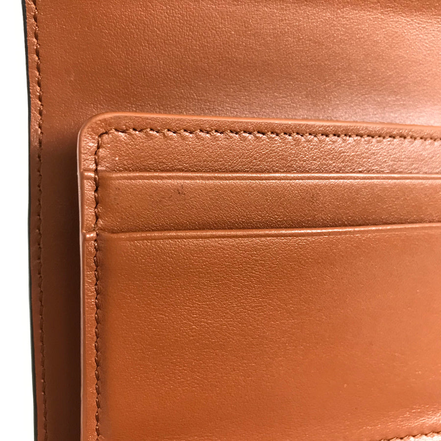 CELINE Triomphe Small wallet 10D783BZG.04LU Trifold wallet