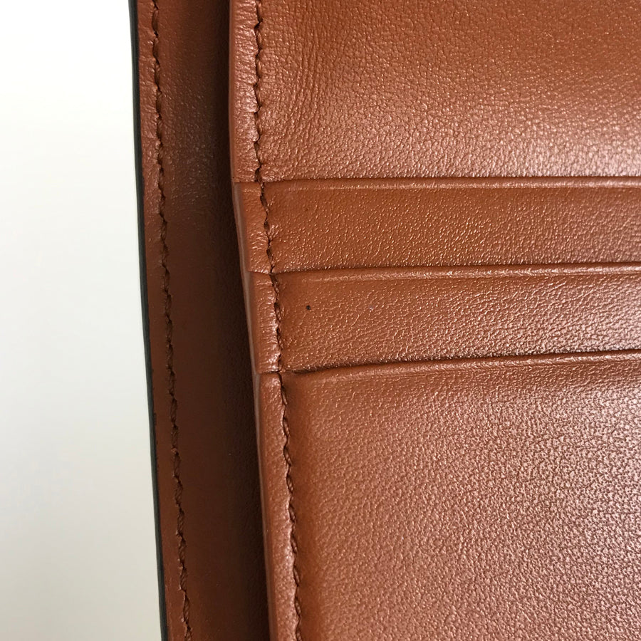 CELINE Triomphe Small wallet 10D783BZG.04LU Trifold wallet