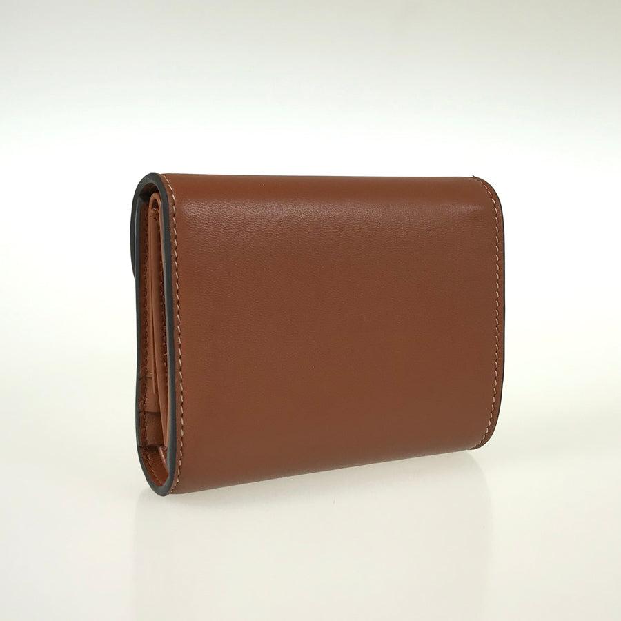 CELINE Triomphe Small wallet 10D783BZG.04LU Trifold wallet