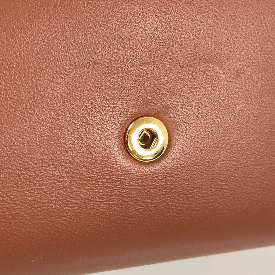 CELINE Triomphe Small wallet 10D783BZG.04LU Trifold wallet