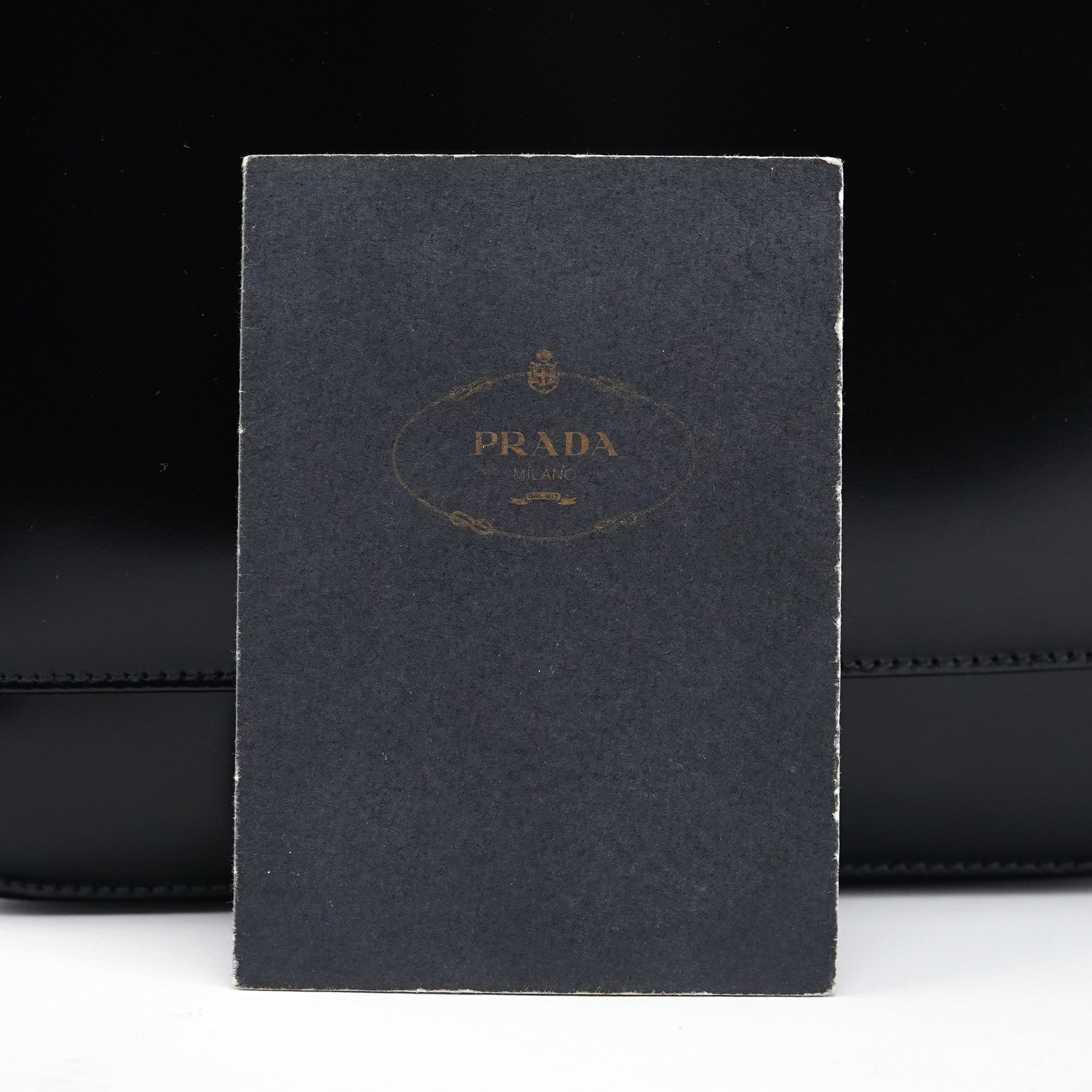 1995 Black Spazzolato Swivel Shoulder Bag