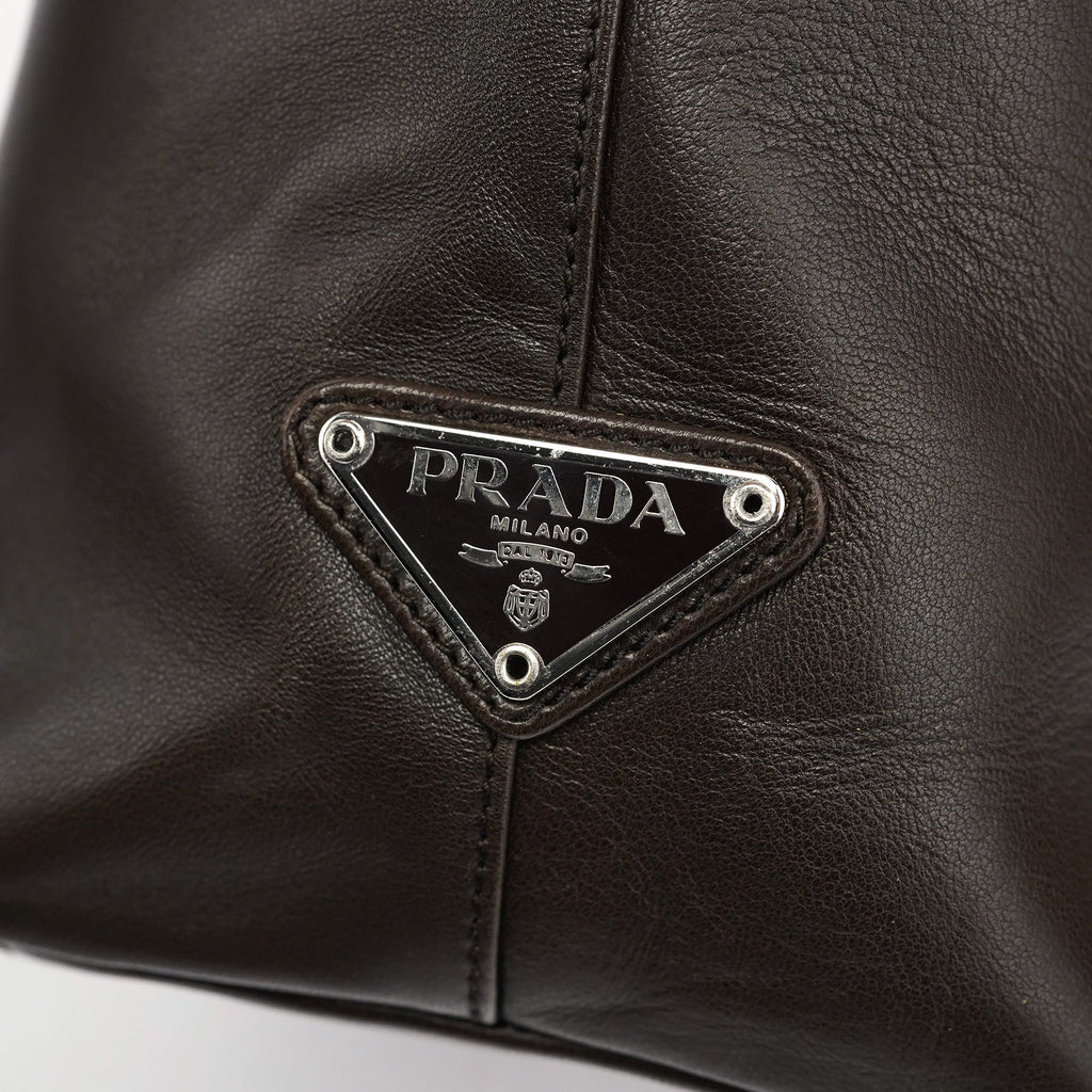 1998 Brown Calfskin Plastic Hobo Bag