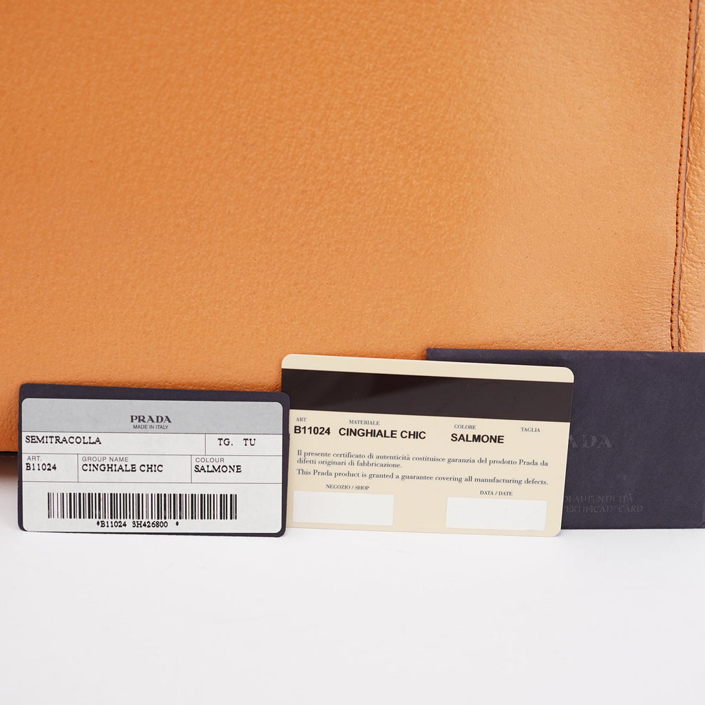 B11024 Orange Cinghiale Chic Shoulder Bag
