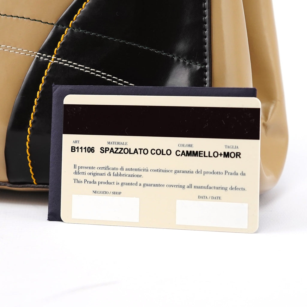 B11106 Beige Spazzolato Chic Handbag