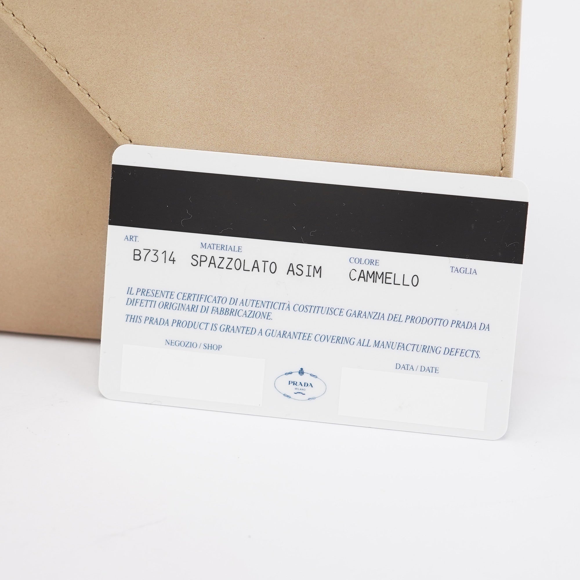 Beige Spazzolato Asimetric Handbag
