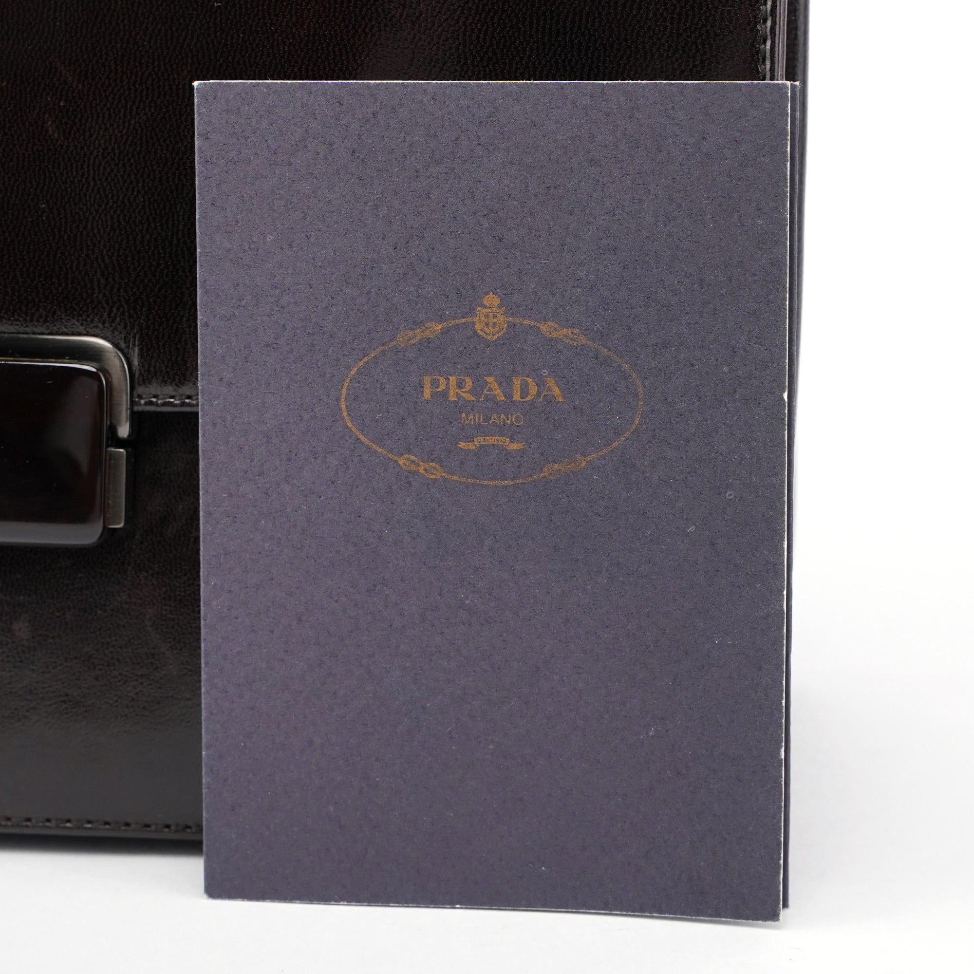 Brown Calfskin Buckle Top Handle Bag