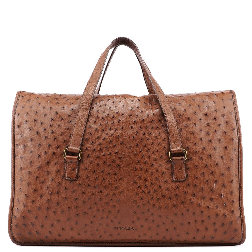 Brown Ostrich Leather Tote