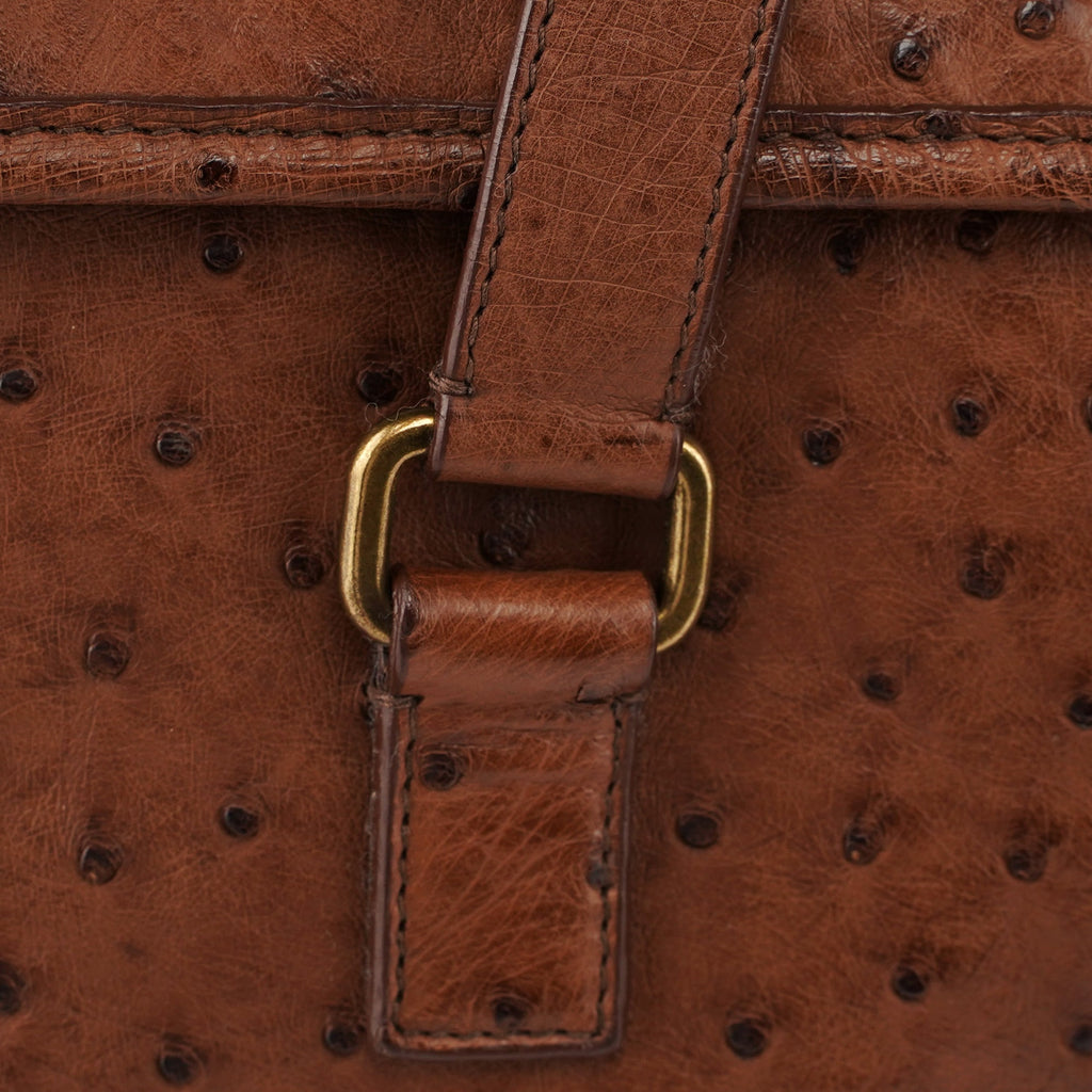 Brown Ostrich Leather Tote