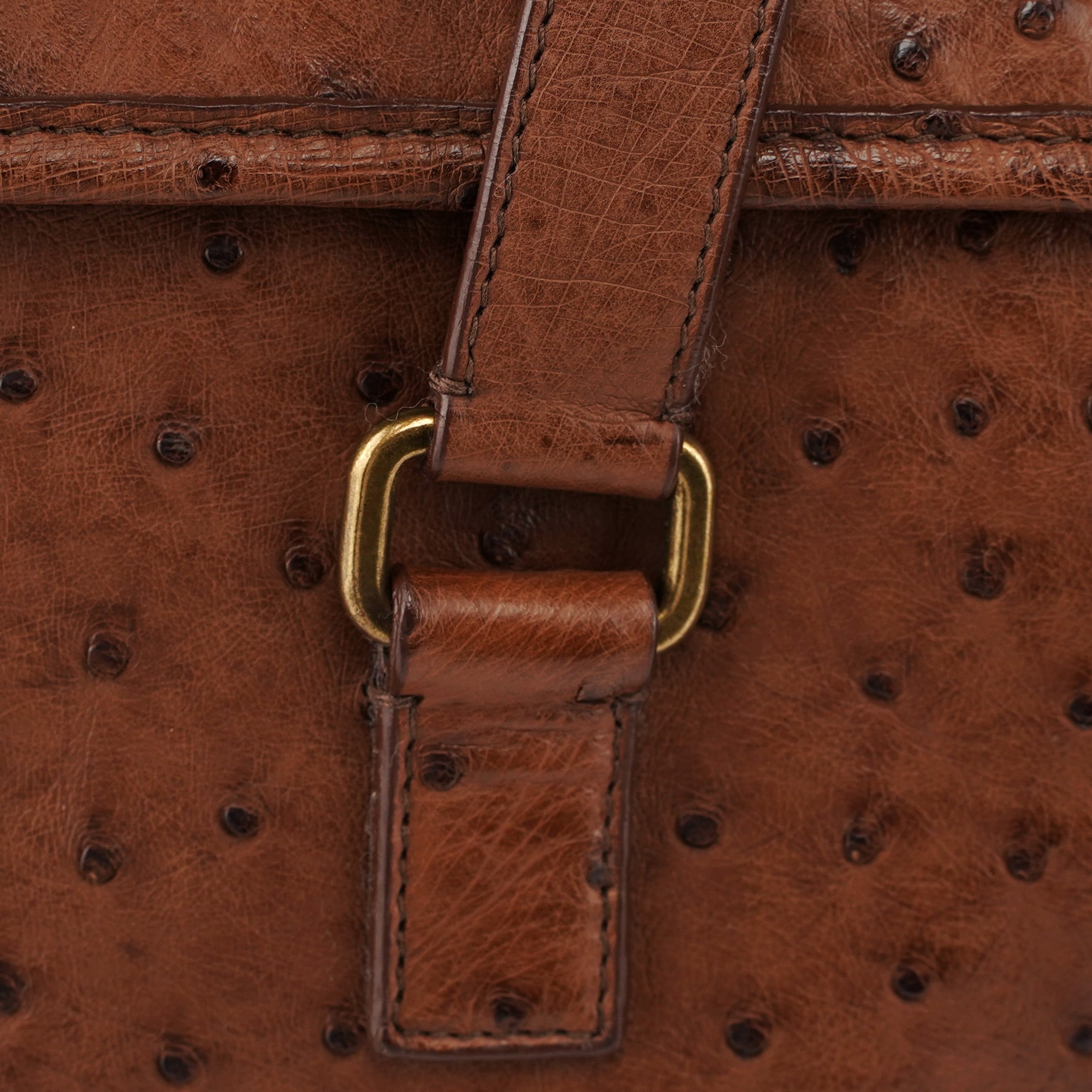 Brown Ostrich Leather Tote