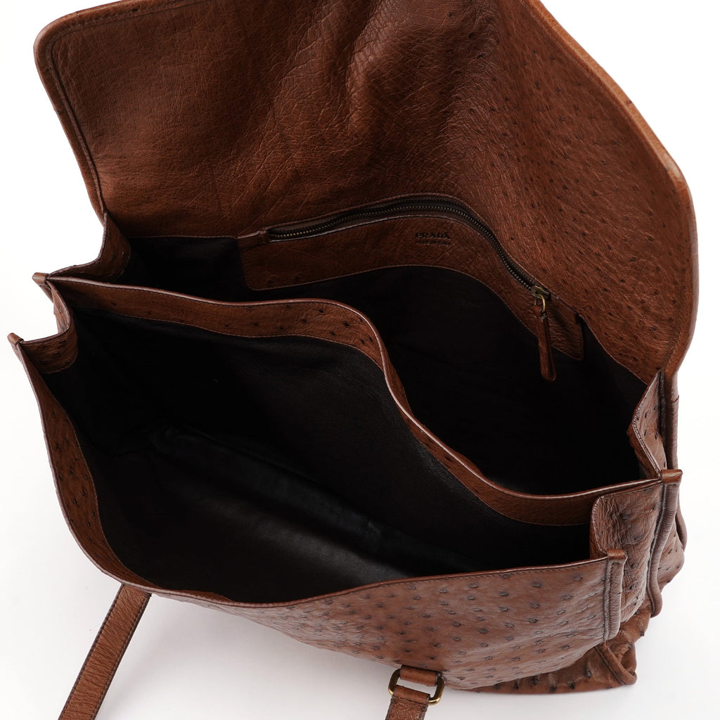 Brown Ostrich Leather Tote