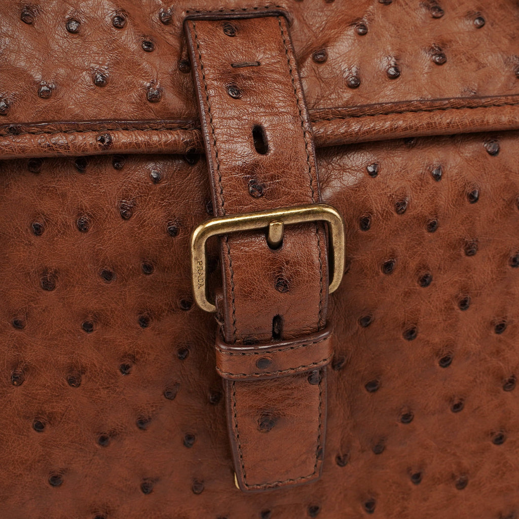 Brown Ostrich Leather Tote