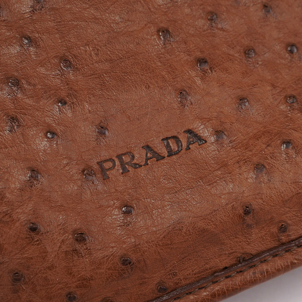Brown Ostrich Leather Tote
