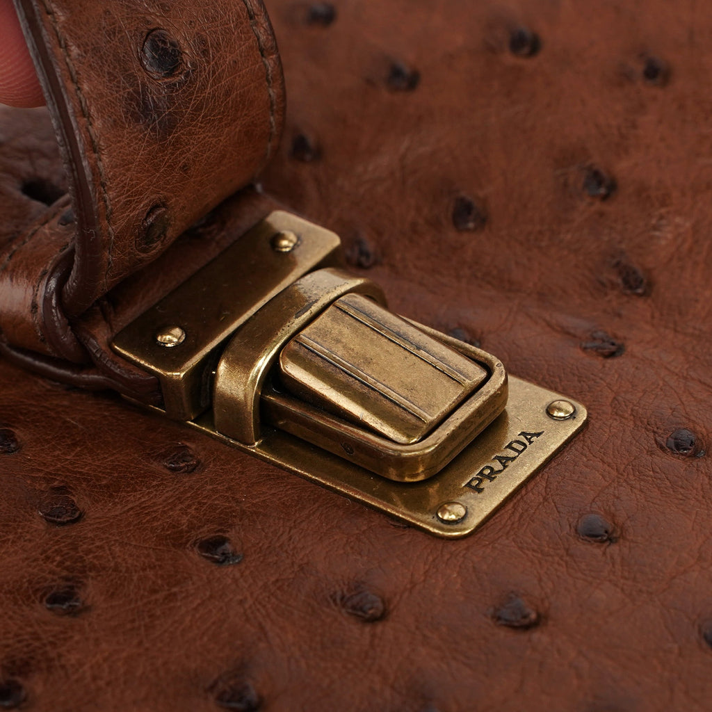 Brown Ostrich Leather Tote