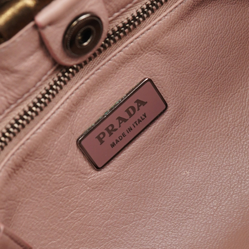 Metallic Leather Hobo Shoulder Bag