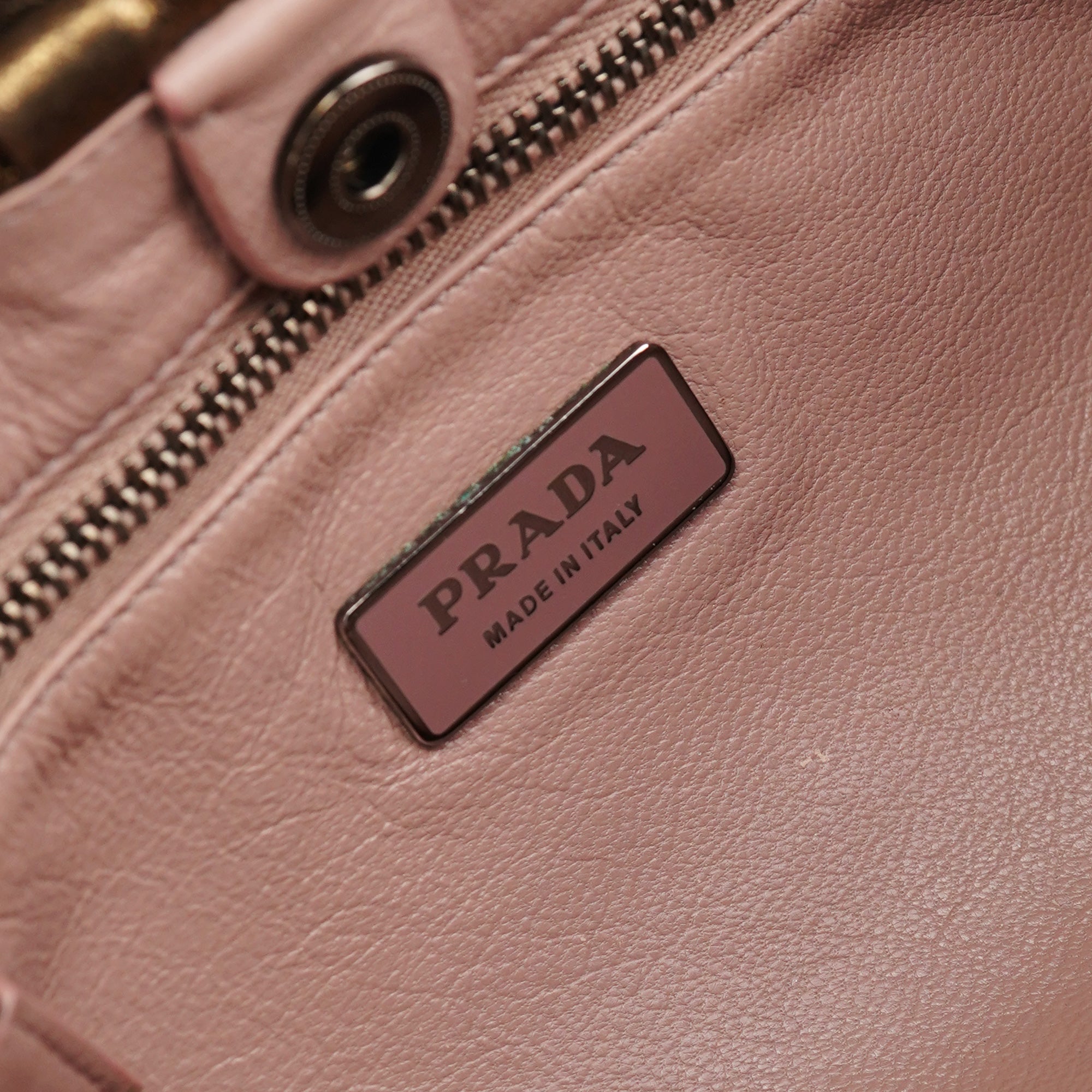 Metallic Leather Hobo Shoulder Bag