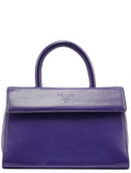 Purple Calfksin Top Handle Bag