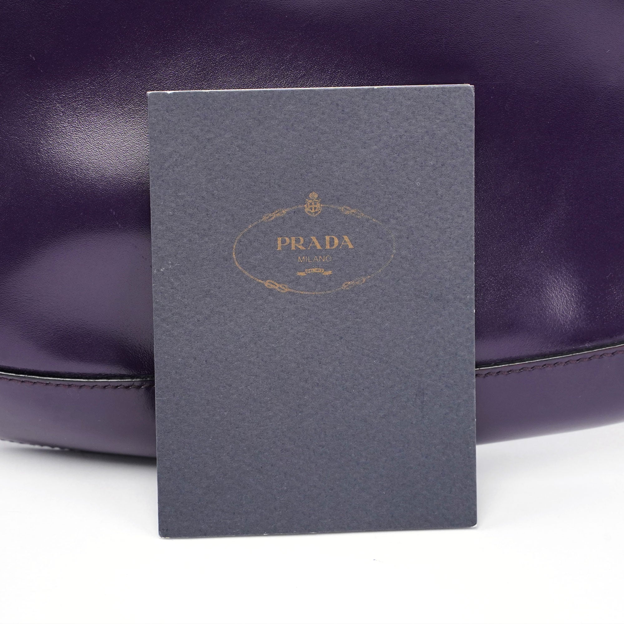 Purple Leather Cleo Bag