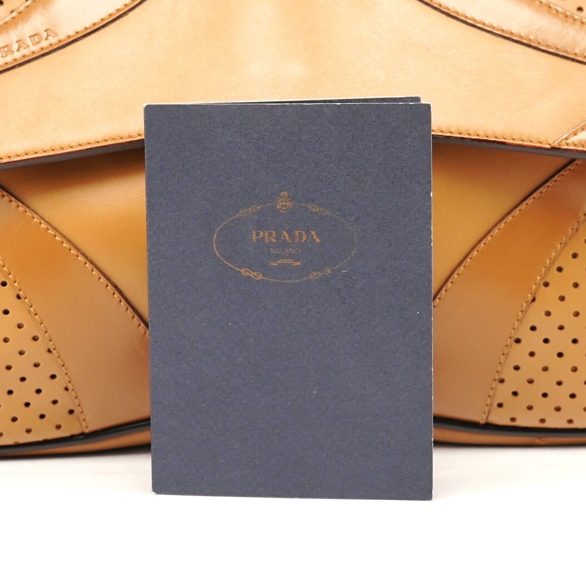 Spring 2000 Beige Calfskin Hobo Shoulder Bag