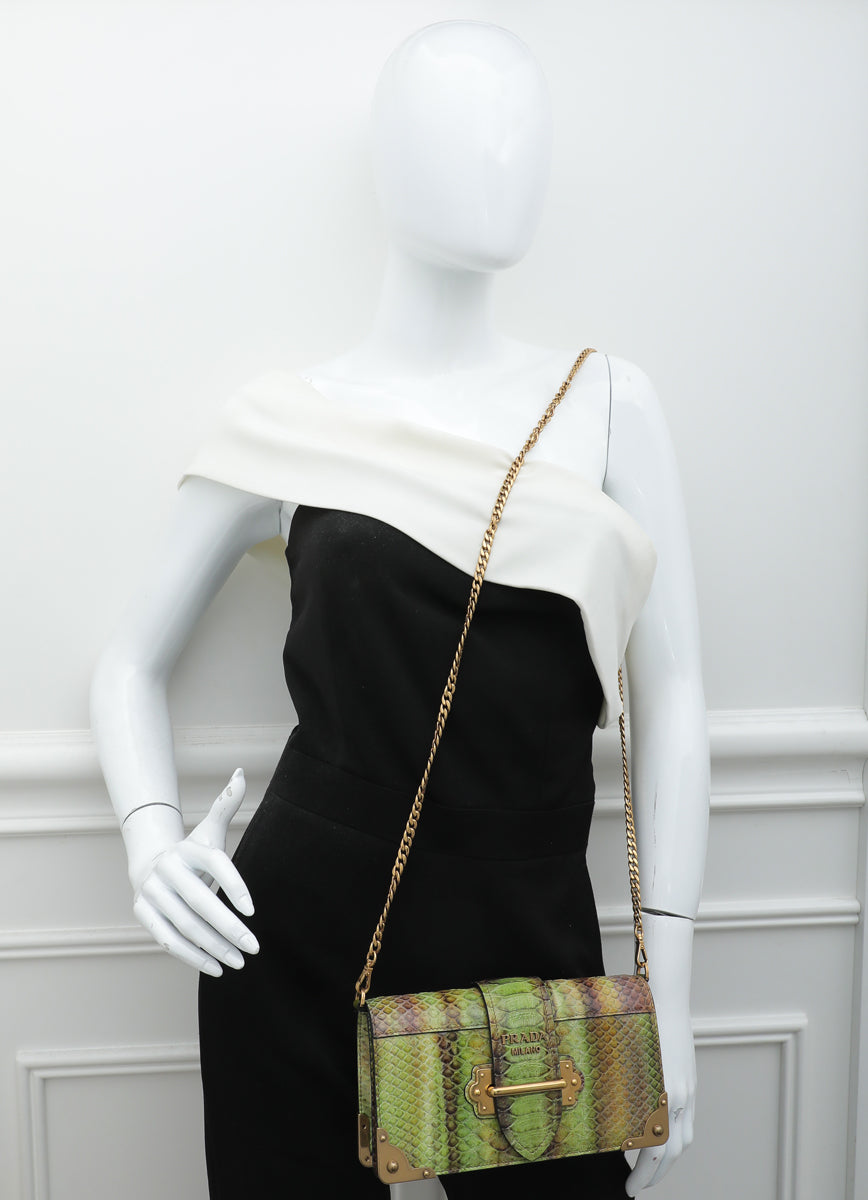 Prada Bicolor Python Cahier Chain Clutch Bag