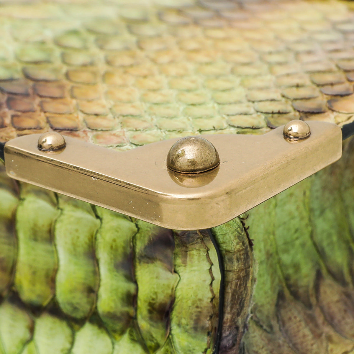 Prada Bicolor Python Cahier Chain Clutch Bag