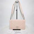 DIOR Diorama Bag 25*16*6cm 3022601142231