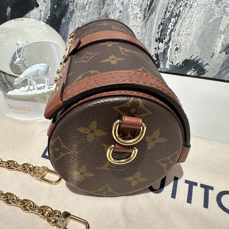lv papillon microchipped 13204