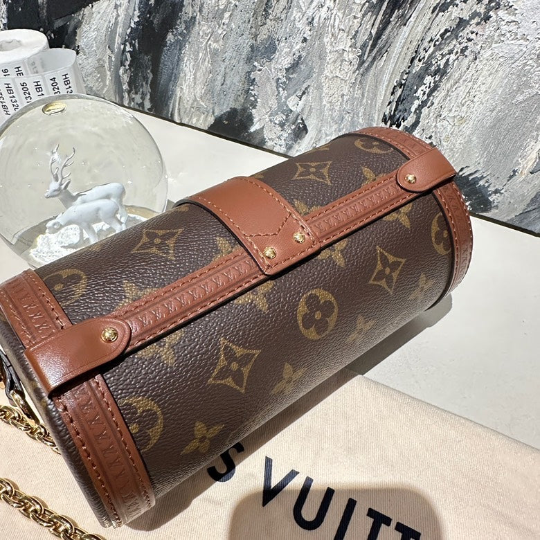 lv papillon microchipped 13204