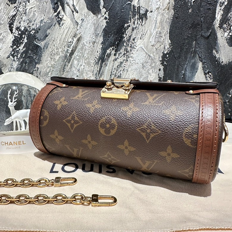 lv papillon microchipped 13204
