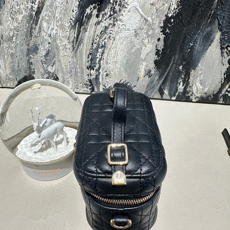 Dior mini vanity case 2020 13318