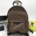 Louis Vuitton Palm Springs Backpack R2468131.