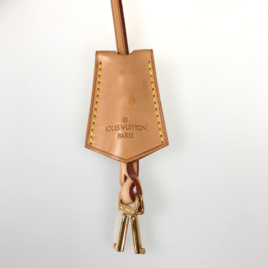 LOUIS VUITTON Monogram Plastic Neo Cabas Amble MM M92504 Tote bag