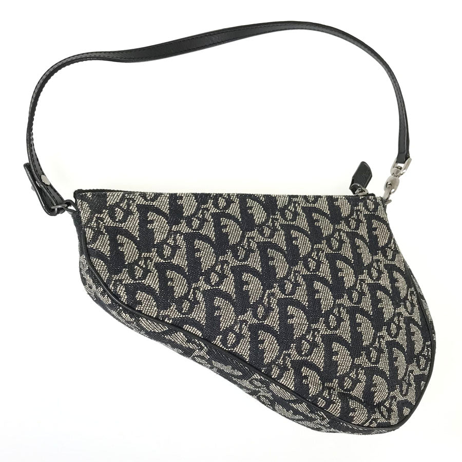Dior Saddle Trotter Shoulder bag