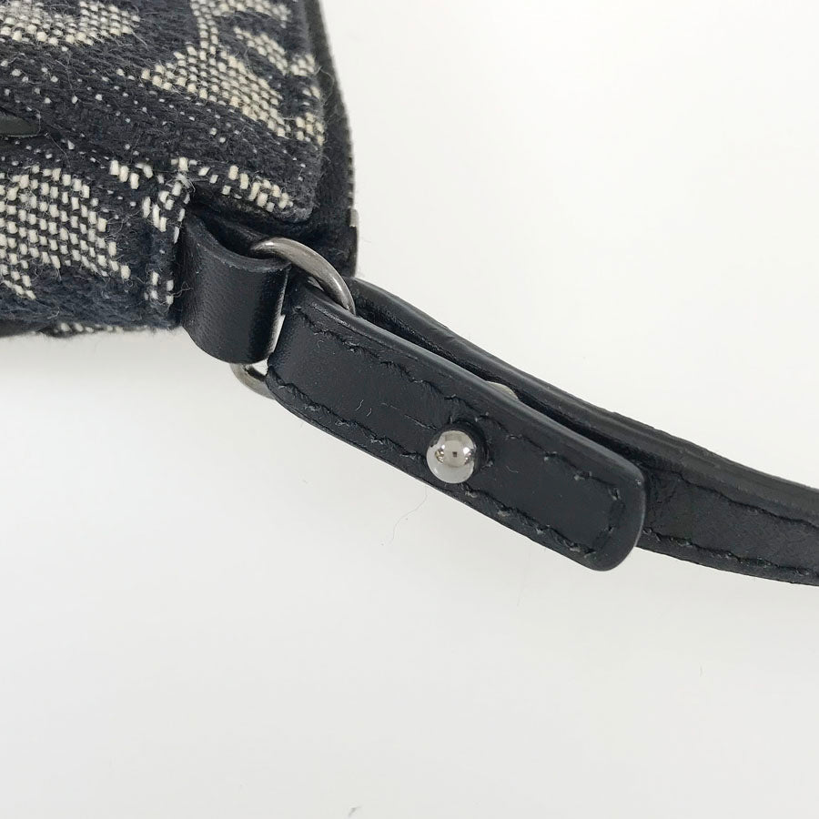 Dior Saddle Trotter Shoulder bag