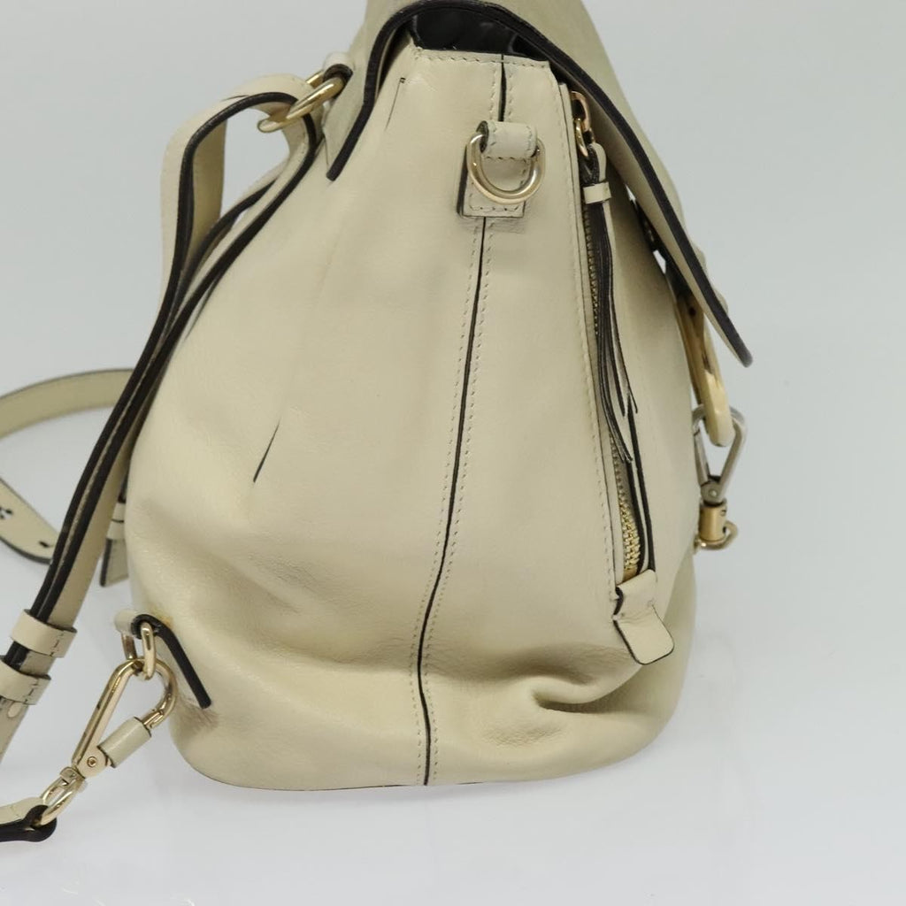 Chloe Faye Backpack Leather And Suede Beige Suede Backpack Bag (Authentic  )