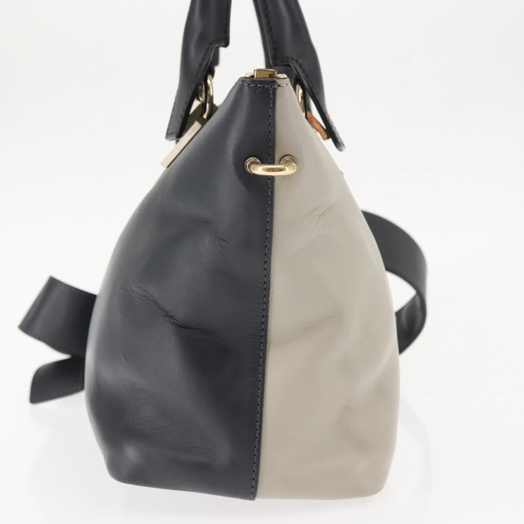 Chloe Bicolor Baylee Satchel Leather Multicolour Leather Handbag (Authentic  )