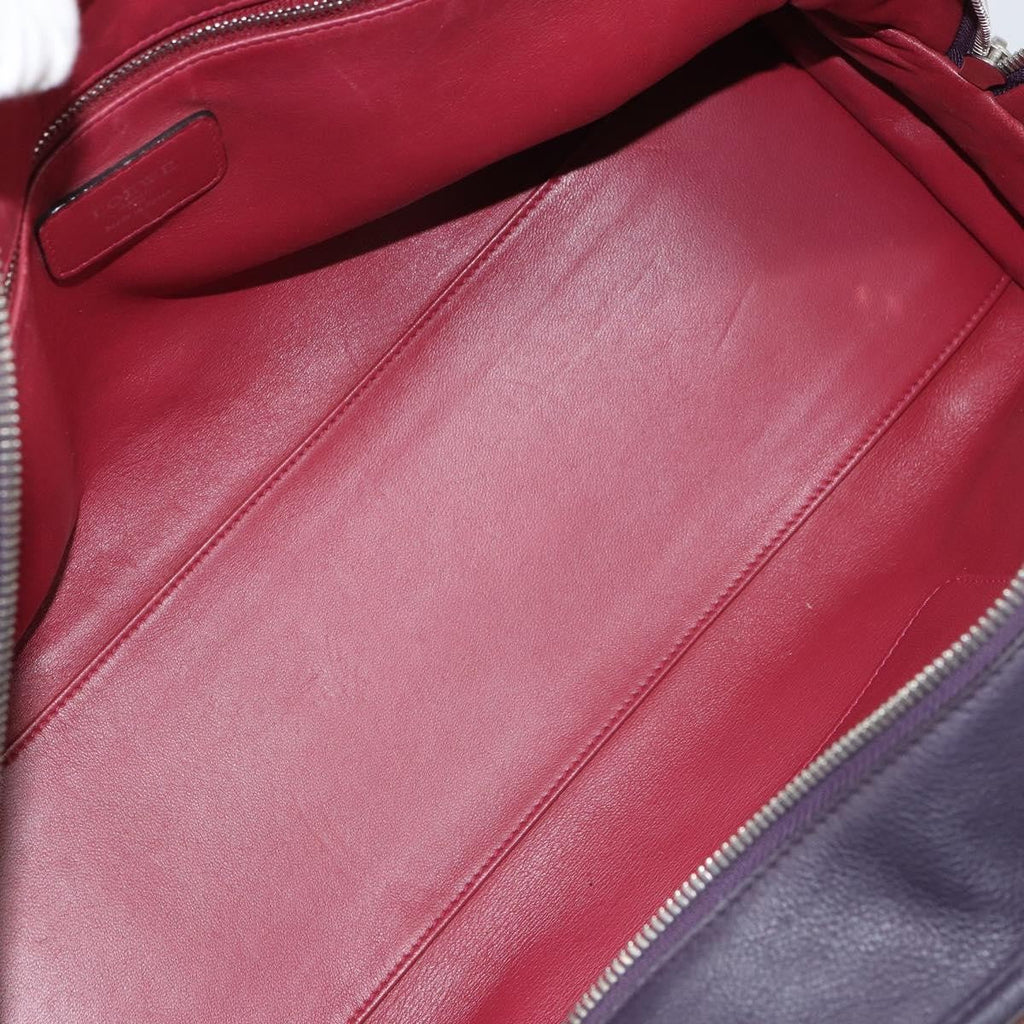 Loewe Amazona Bag Leather Red Leather Handbag (Authentic  )