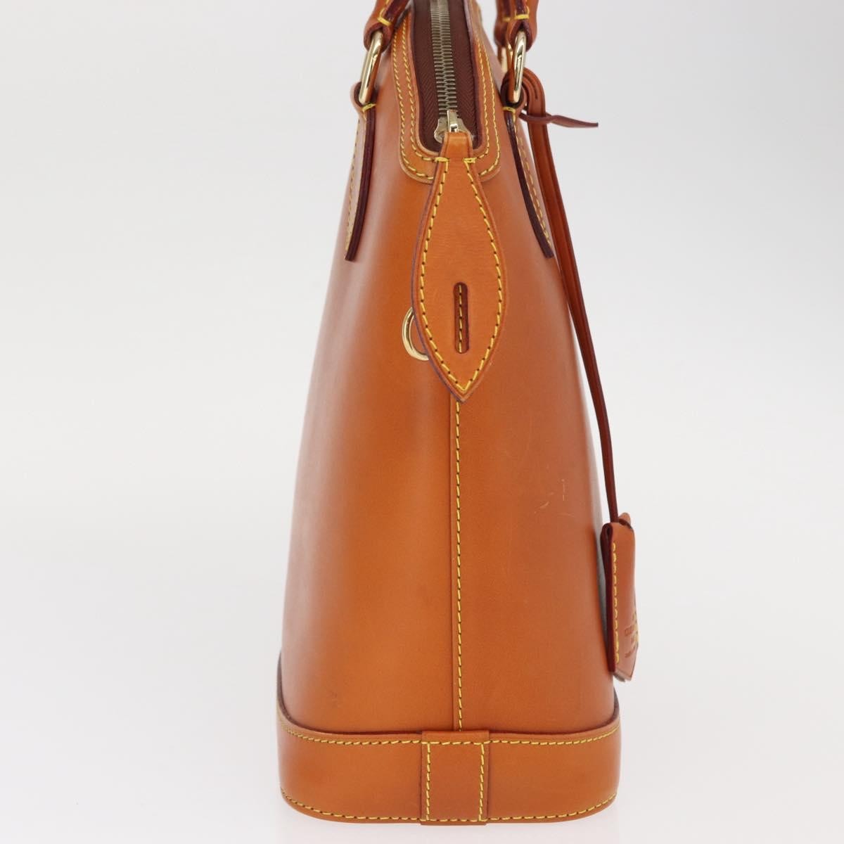 Louis Vuitton Lockit Handbag Nomade Leather Brown Leather Handbag (Authentic  )
