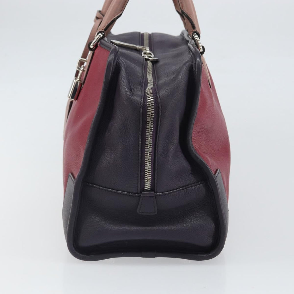 Loewe Amazona Bag Leather Red Leather Handbag (Authentic  )