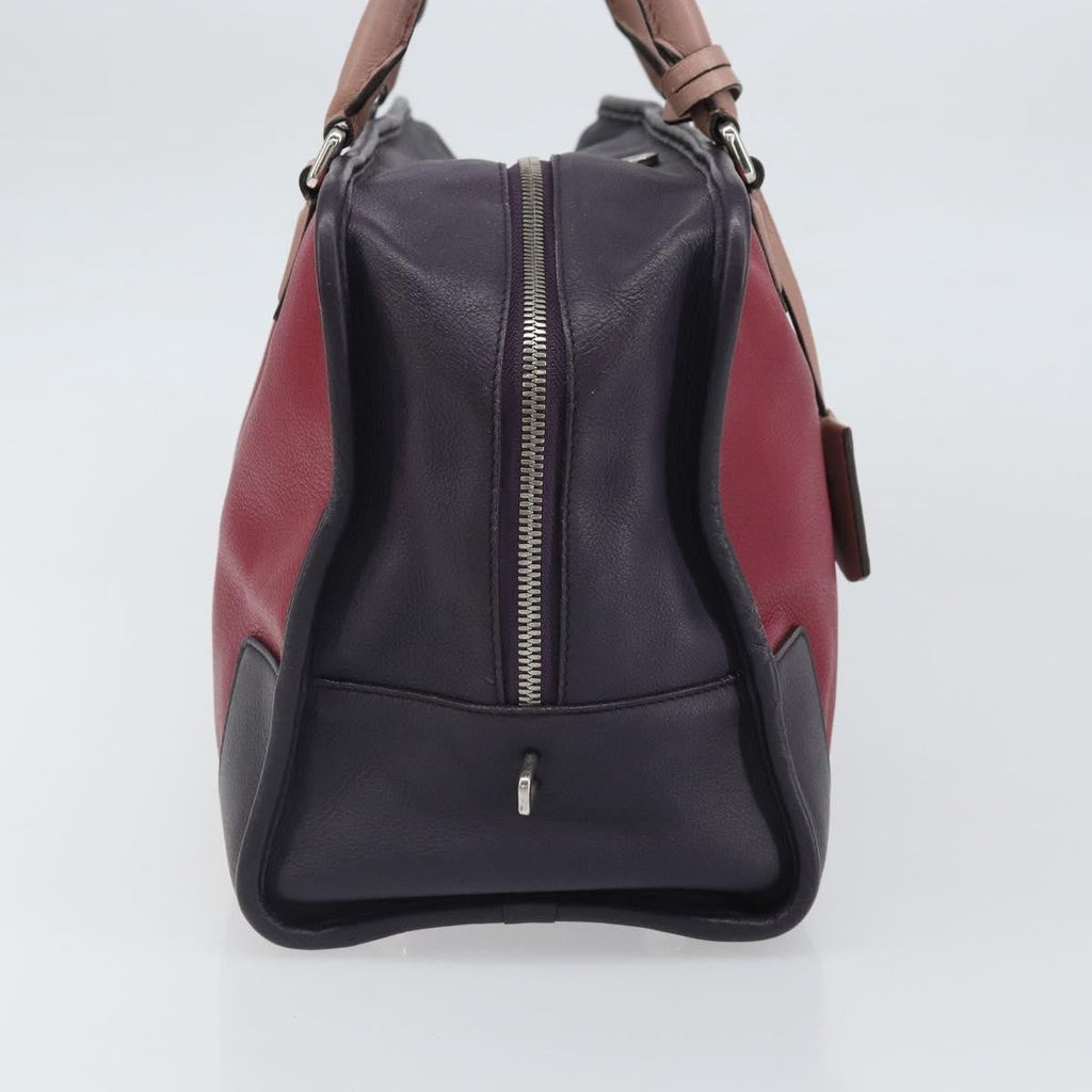 Loewe Amazona Bag Leather Red Leather Handbag (Authentic  )