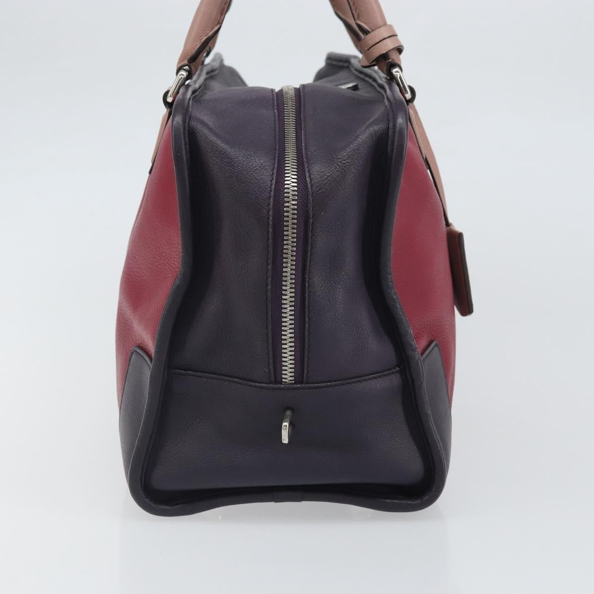 Loewe Amazona Bag Leather Red Leather Handbag (Authentic  )