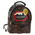 Louis Vuitton Palm Springs Backpack Limited Edition World Tour Monogram Canvas Brown Canvas Backpack Bag (Authentic  )
