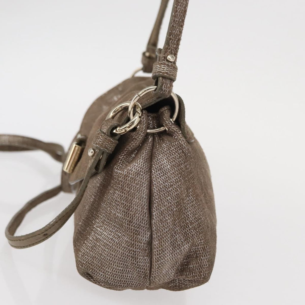 Chloe Lily Handbag Canvas Silver Canvas Handbag (Authentic  )