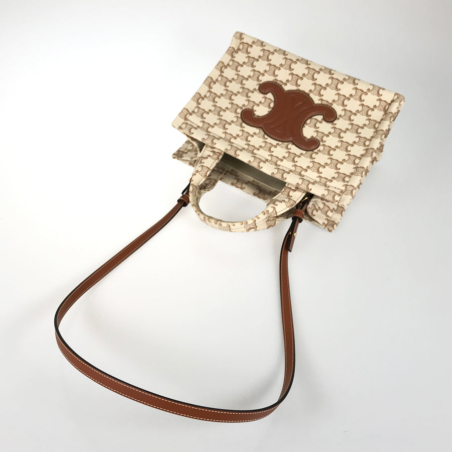 CELINE Triomphe Small Hippopotamus 199162FRF.01BC Tote bag