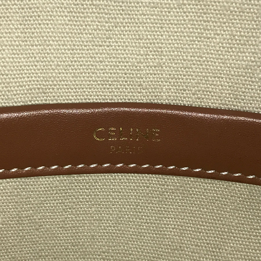 CELINE Triomphe Small Hippopotamus 199162FRF.01BC Tote bag