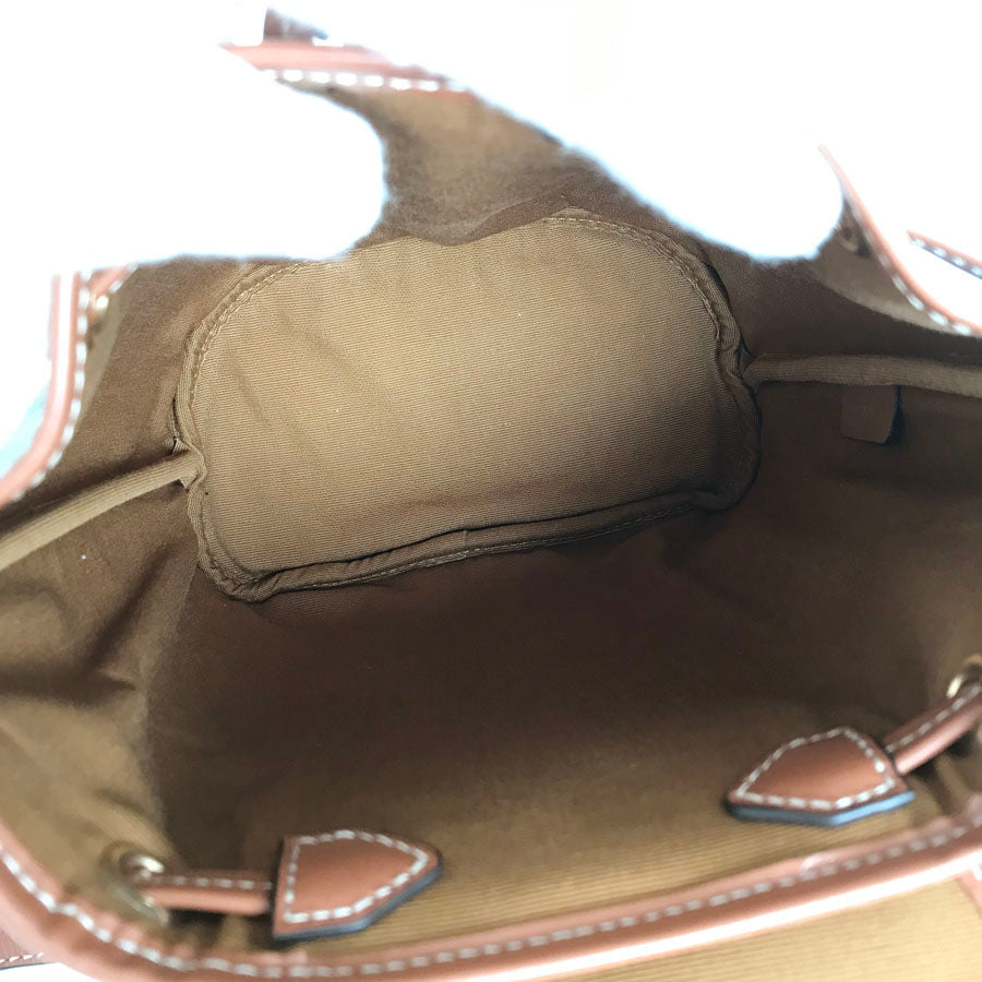 CELINE Triomphe Mini Falco Backpack