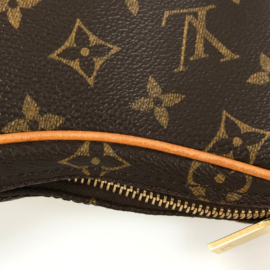 LOUIS VUITTON Monogram Pochette Croissant M51510 Shoulder bag