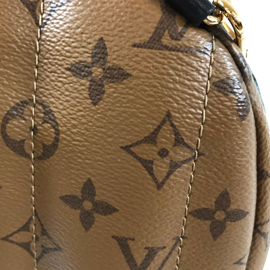 LOUIS VUITTON Monogram Reverse Palm Springs Backpack MINI M44872 Backpack