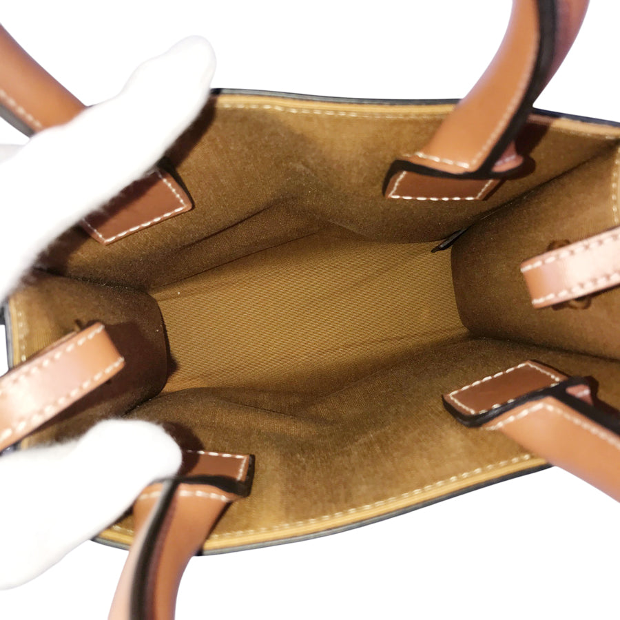CELINE Triomphe Vertical hippo Hand bag